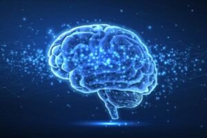 brain graphic consistency in fitness after 60