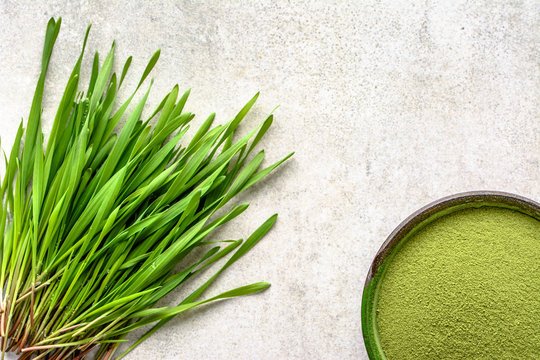 spirulina superfoods for men over 60